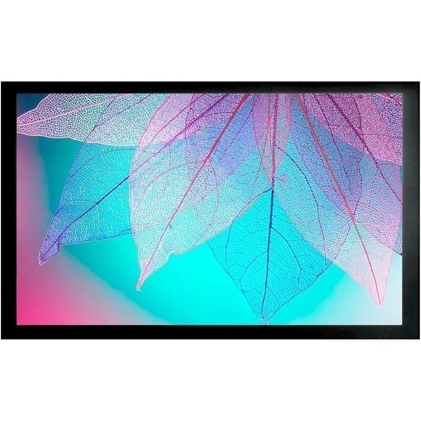 Экран Cactus FrameExpert 124x220см (CS-PSFRE-220X124)