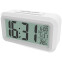 Часы-будильник Ritmix CAT-100 White