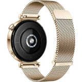 Умные часы Huawei Watch GT 4 Gold (Aurora-B19M) (55020BHW)