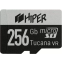 Карта памяти 256Gb MicroSD HIPER Tucana (HI-MSD256GU3V30) - фото 2
