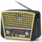 Радиоприёмник Ritmix RPR-050 Gold