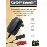 Зарядное устройство GoPower ProLab 12 (00-00015355)