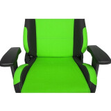 Игровое кресло AKRacing Prime Black/Green (AK-K7018-BG)