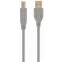 Кабель USB A (M) - USB B (M), 1.8м, Filum FL-C-U2-AM-BM-1.8M