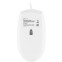 Мышь Oklick 147M White USB - фото 2