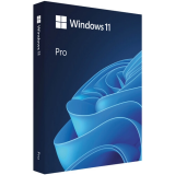 ПО Microsoft Windows 11 Pro 64-bit English Intl USB (HAV-00163)