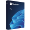 ПО Microsoft Windows 11 Pro 64-bit English Intl USB (HAV-00163)