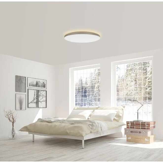 Mijia led hot sale ceiling light