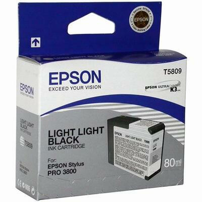 Картридж Epson C13T580900 Light Light Black