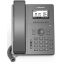 VoIP-телефон Flyingvoice P10G - фото 3