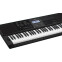 Синтезатор CASIO CT-X800 Black - фото 2