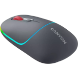 Мышь Canyon MW-22 Dark Gray (CNS-CMSW22DG)