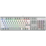 Клавиатура A4Tech Fstyler FS100 Neon Grayish White