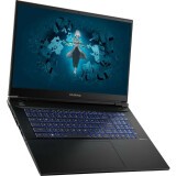 Ноутбук Colorful Evol X17 Pro Max (A10205400061)