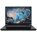 Ноутбук Colorful Evol X16 Pro (A10205400059)