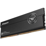 Оперативная память 32Gb DDR5 6000MHz Team T-Force Xtreem (FFXD532G6000HC30DC01) (2x16Gb KIT)