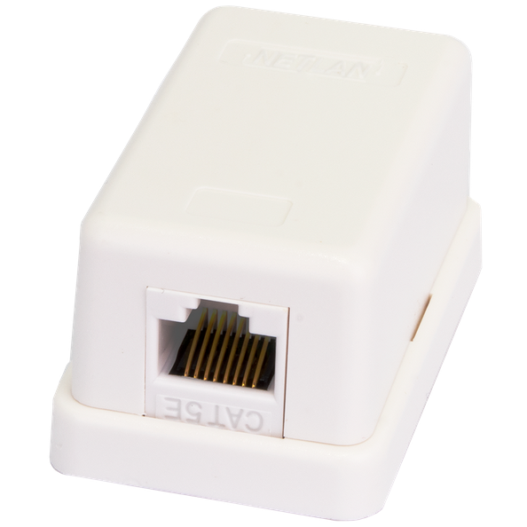 Розетка RJ-45 NETLAN EC-UWO-1-UD2-WT-10, 10 шт.