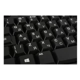 Клавиатура Logitech K120 for business Black (920-002522)