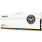 Оперативная память 32Gb DDR5 8000MHz Team T-Force Xtreem White (FFWD532G8000HC38DDC01) (2x16Gb KIT)