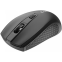 Мышь Canyon Wireless mouse MW-7 Black (CNE-CMSW07B) - фото 3