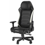 Игровое кресло DXRacer Master Plus/XL Leatherette Black/White (GC/XLMF24LTA/NW)