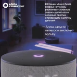 Умная колонка Яндекс Станция Мини 3 серая (YNDX-00027GRY)