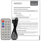 Портативная акустика Ginzzu GM-234