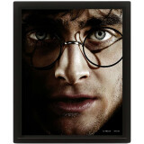 Постер Pyramid International Harry Potter Harry Vs Voldemort (EPPL71335)