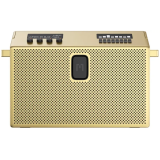 Портативная акустика Defunc Mondo BT Speaker Large Gold (M2002)