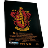 Подарочный набор ABYstyle Harry Potter Harry Ron Hermione (ABYPCK249)