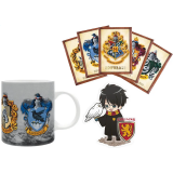 Подарочный набор ABYstyle Harry Potter Hogwarts (ABYPCK281)