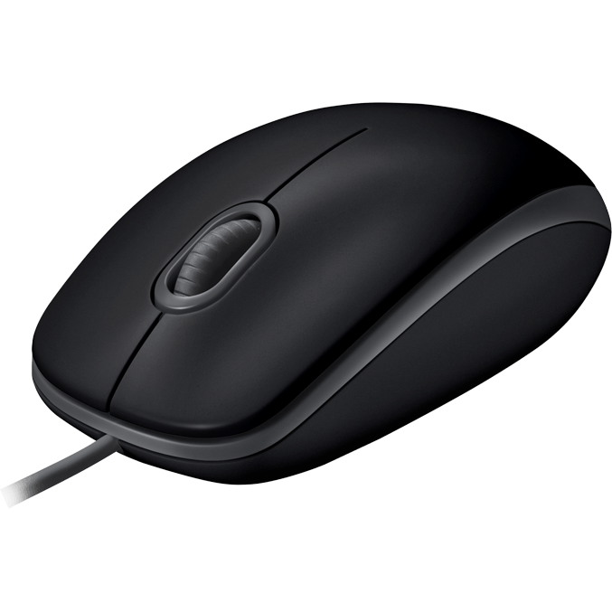 Мышь Logitech B110 Silent Black (910-005508)