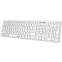 Клавиатура Genius SlimStar 126 White - 31310017418/31310017410 - фото 2