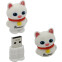 USB Flash накопитель 32Gb SmartBuy Wild Cat White (SB32GBCatW)