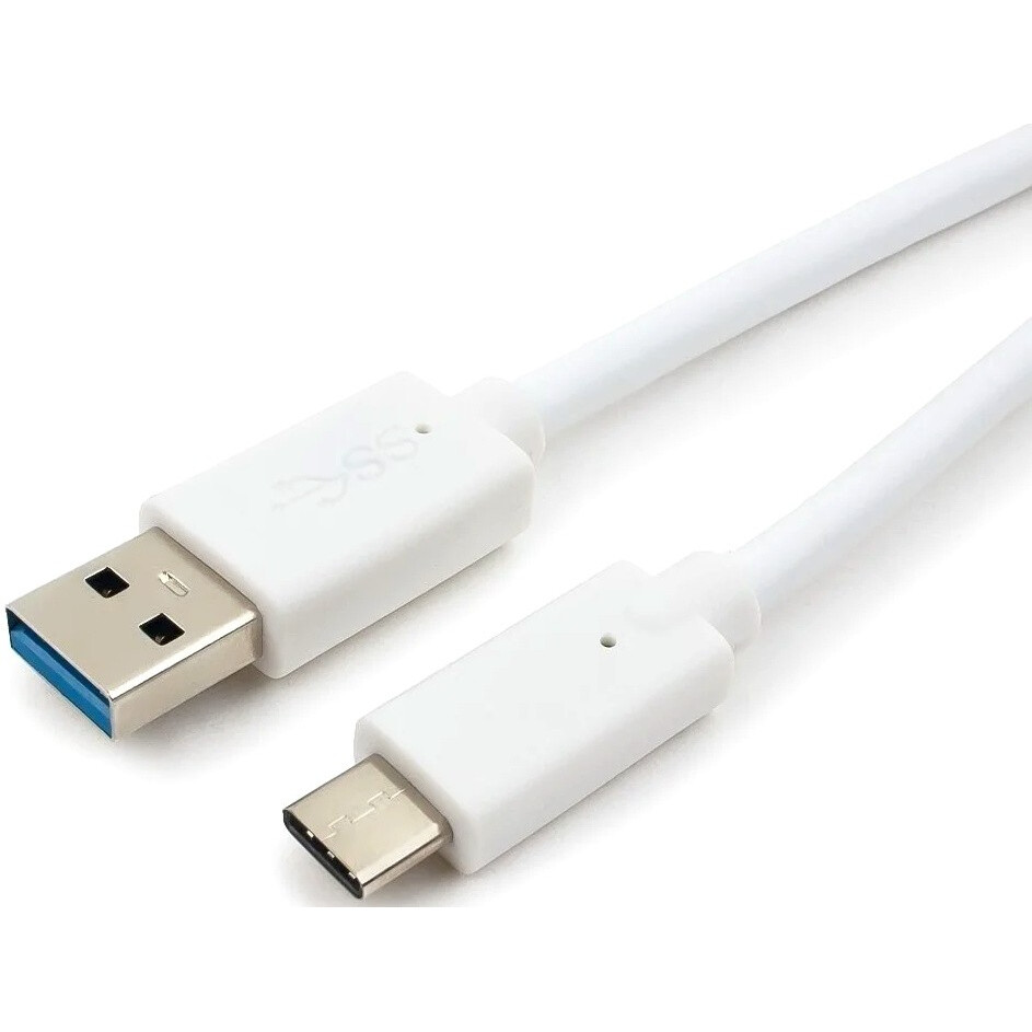 Кабель USB - USB Type-C, 1м, Bion BXP-CCP-USB3-AMCM-1M-W